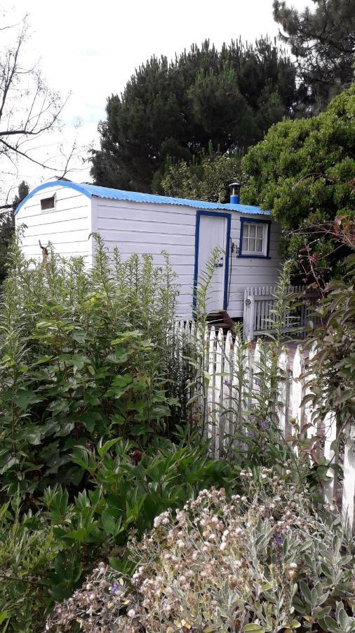 Western House B&B Kurow מראה חיצוני תמונה